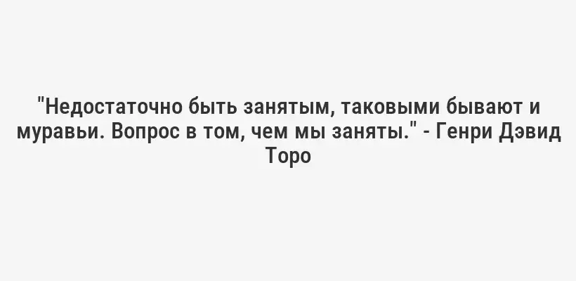 "Недостаточно быть занятым, таковыми бывают и муравьи. Вопрос в том, чем мы заняты." - Генри Дэвид Торо
