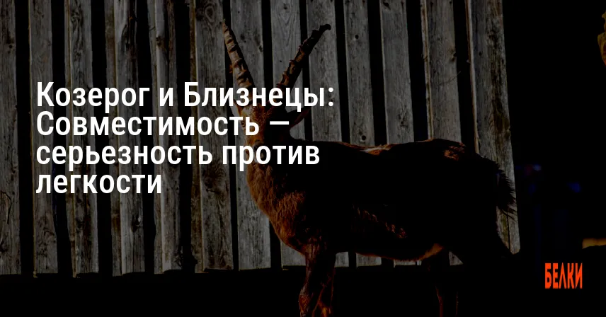 Козерог и Близнецы: Совместимость — серьезность против легкости