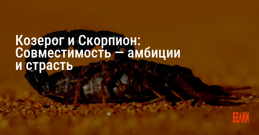 Козерог и Скорпион: Совместимость — амбиции и страсть