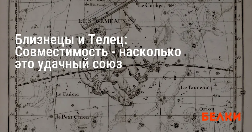 Близнецы и Телец: Совместимость — насколько это удачный союз