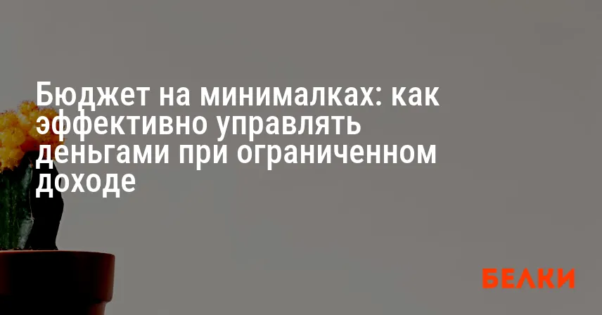 Бюджет на минималках: как эффективно управлять деньгами при ограниченном доходе
