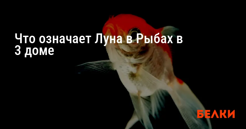 Что означает Луна в Рыбах в 3 доме
