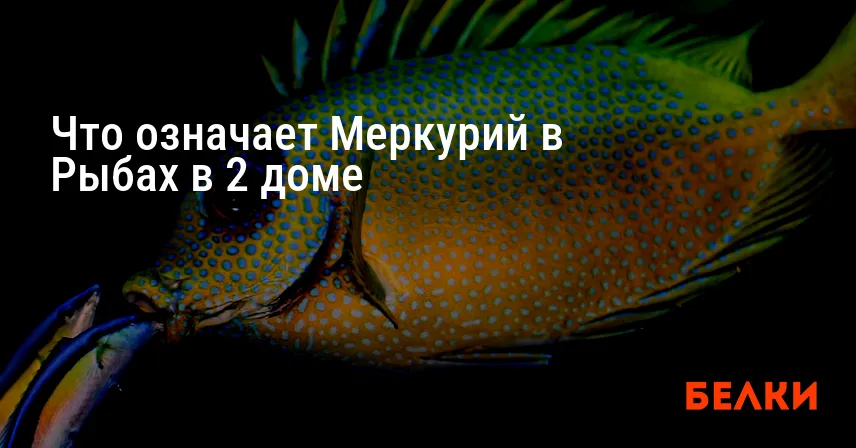 Что означает Меркурий в Рыбах в 2 доме