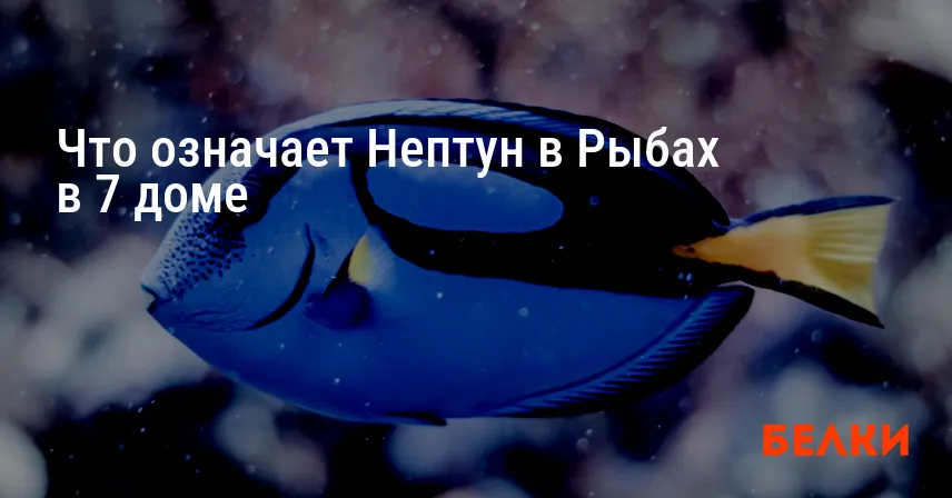 Что означает Нептун в Рыбах в 7 доме