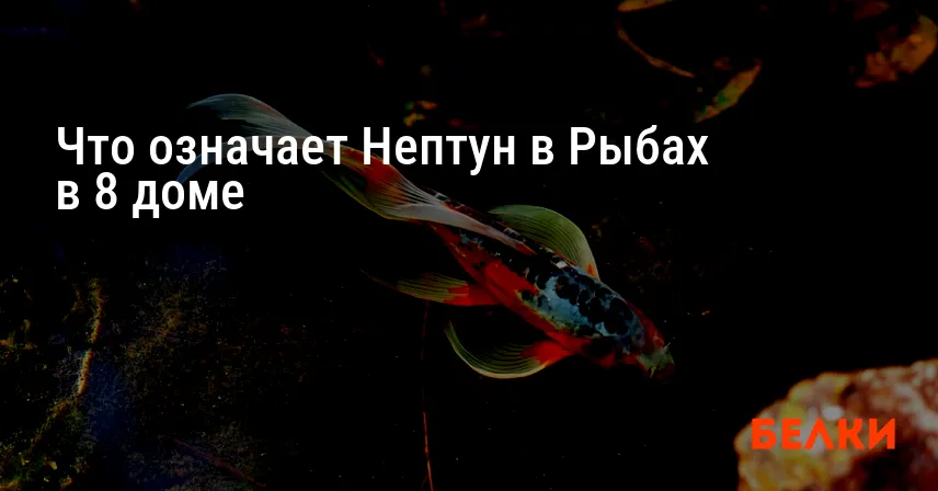 Что означает Нептун в Рыбах в 8 доме