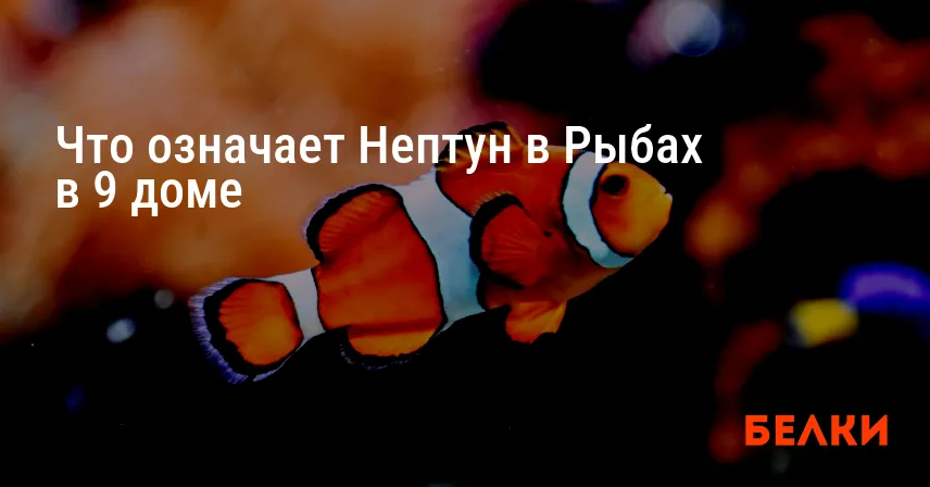 Что означает Нептун в Рыбах в 9 доме