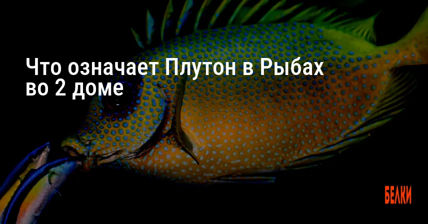 Что означает Плутон в Рыбах во 2 доме