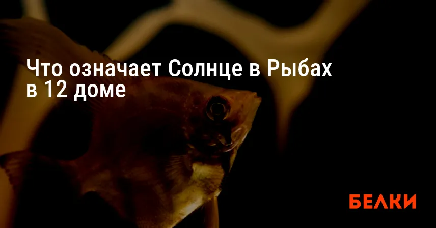 Что означает Солнце в Рыбах в 12 доме