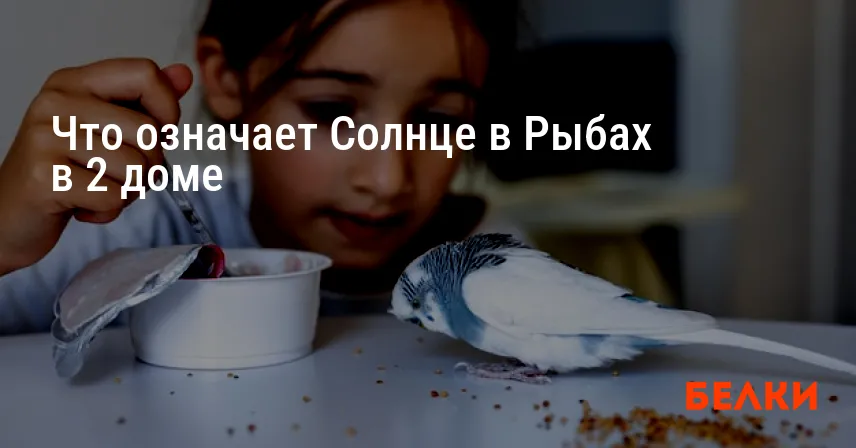 Что означает Солнце в Рыбах в 2 доме