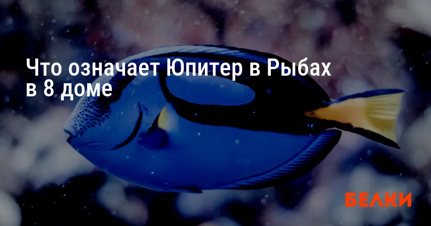 Что означает Юпитер в Рыбах в 8 доме