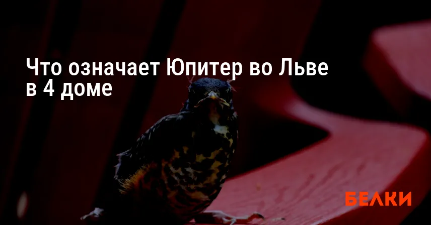 Что означает Юпитер во Льве в 4 доме