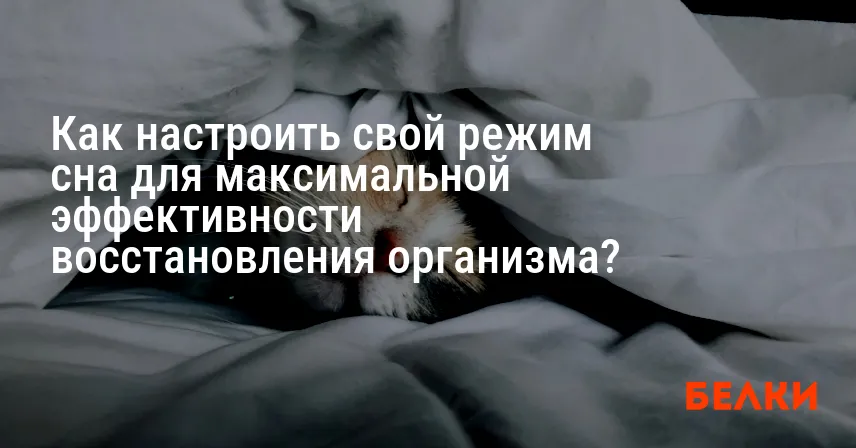 Как настроить свой режим сна для максимальной эффективности восстановления организма?