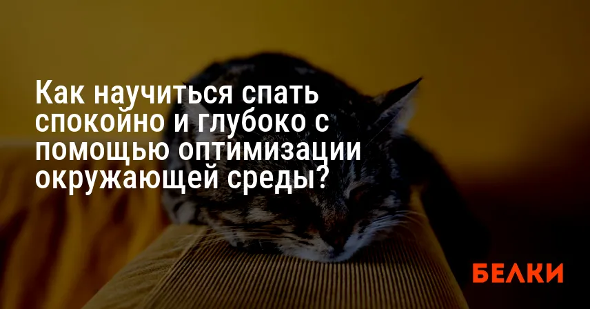 Как научиться спать спокойно и глубоко с помощью оптимизации окружающей среды?