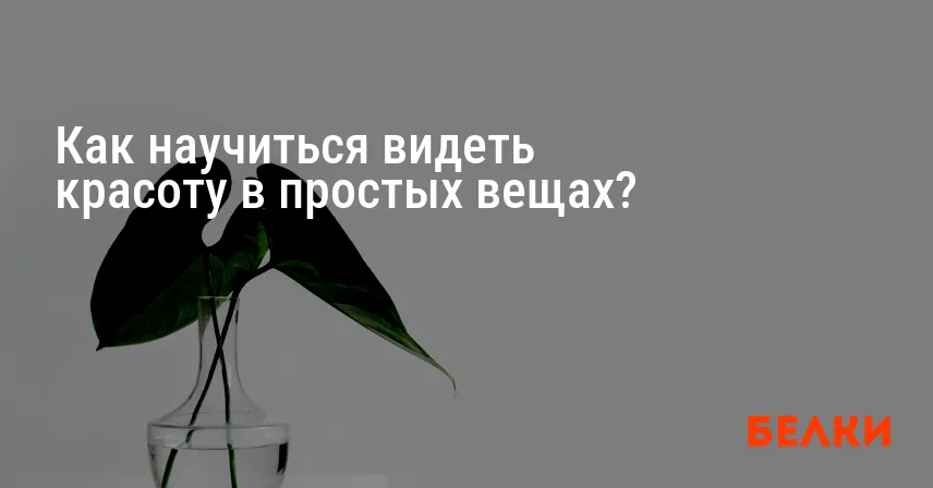 Как научиться видеть красоту в простых вещах?