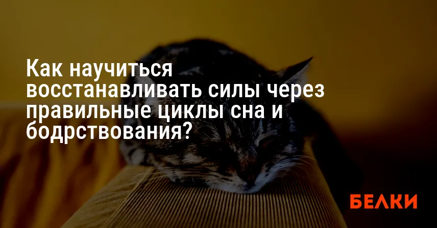 Как научиться восстанавливать силы через правильные циклы сна и бодрствования?