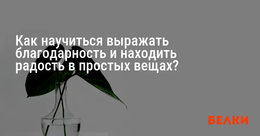 Как научиться выражать благодарность и находить радость в простых вещах?