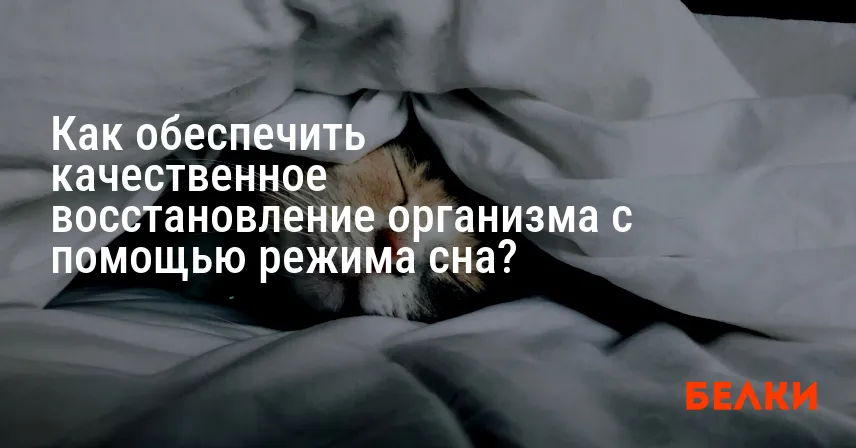 Как обеспечить качественное восстановление организма с помощью режима сна?