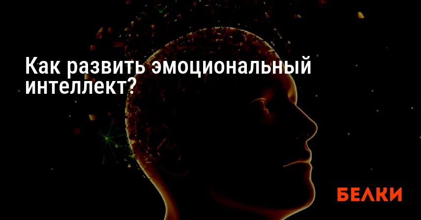 Как развить эмоциональный интеллект?