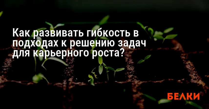 Как развивать гибкость в подходах к решению задач для карьерного роста?