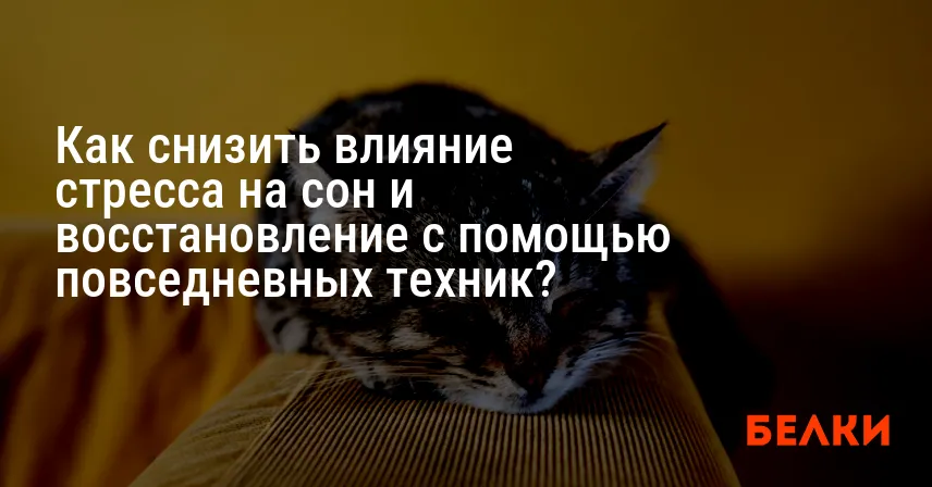 Как снизить влияние стресса на сон и восстановление с помощью повседневных техник?
