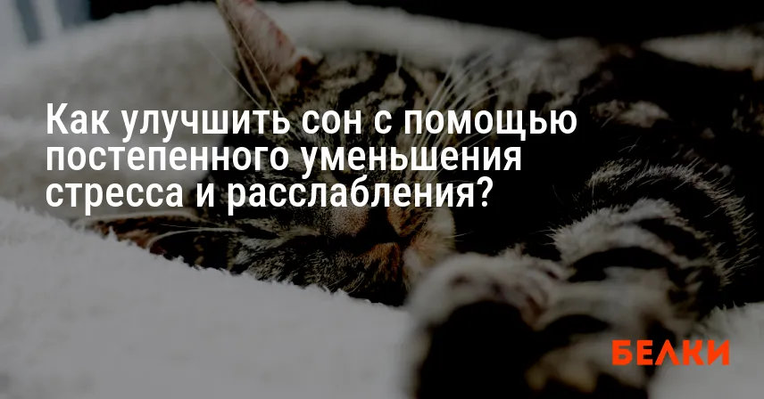 Как улучшить сон с помощью постепенного уменьшения стресса и расслабления?