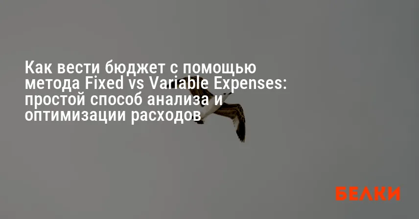 Как вести бюджет с помощью метода Fixed vs Variable Expenses: простой способ анализа и оптимизации расходов