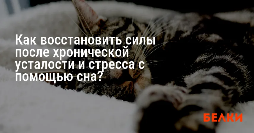 Как восстановить силы после хронической усталости и стресса с помощью сна?