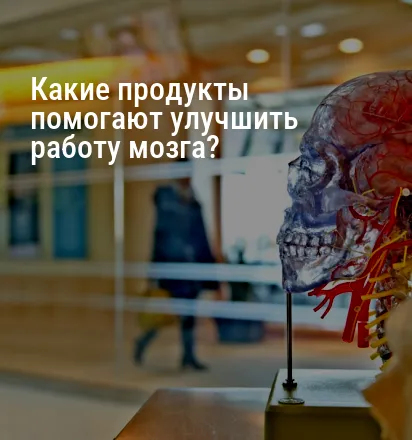 Какие продукты помогают улучшить работу мозга?