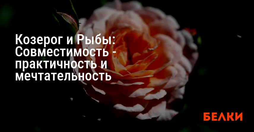 Козерог и Рыбы: Совместимость — практичность и мечтательность