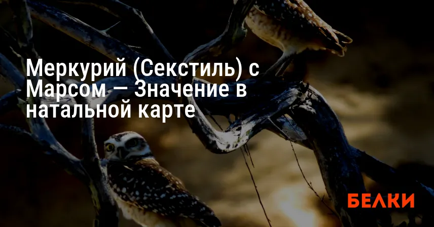 Меркурий (Секстиль) с Марсом — Значение в натальной карте