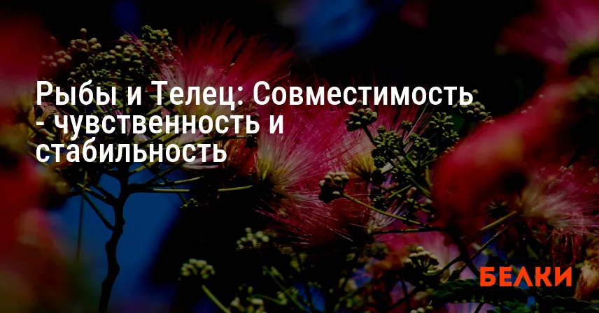 Рыбы и Телец: Совместимость — чувственность и стабильность