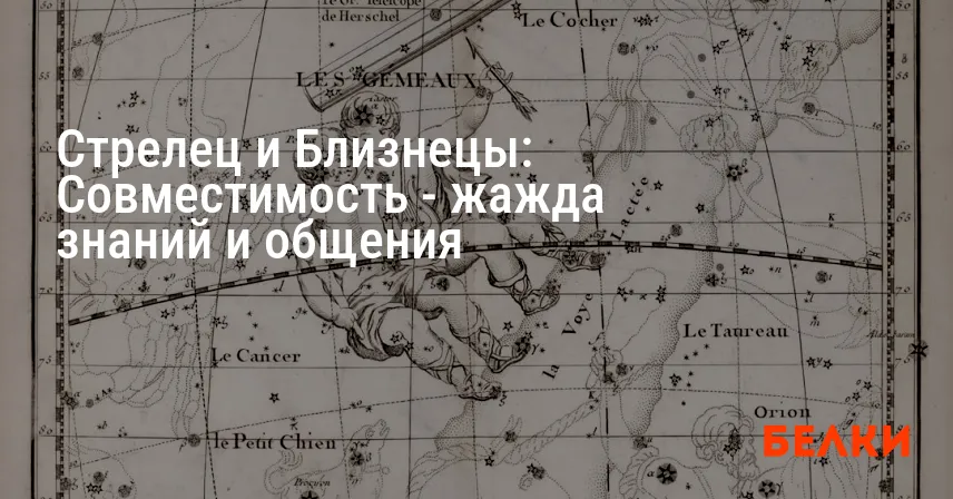 Стрелец и Близнецы: Совместимость — жажда знаний и общения