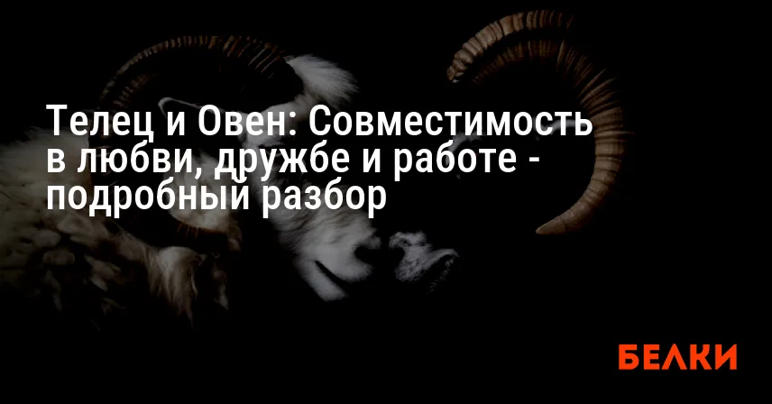Телец и Овен: Совместимость в любви, дружбе и работе — подробный разбор