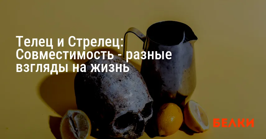 Телец и Стрелец: Совместимость — разные взгляды на жизнь