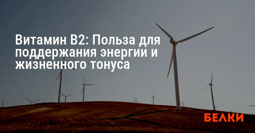 Витамин B2: Польза для поддержания энергии и жизненного тонуса