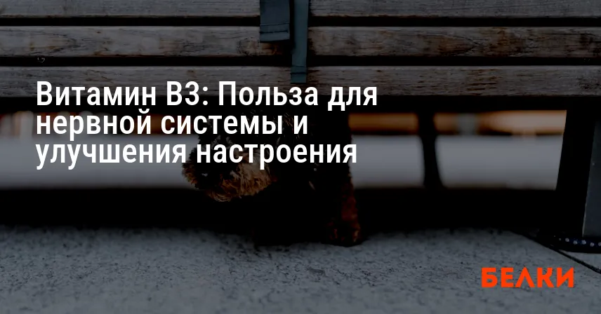 Витамин B3: Польза для нервной системы и улучшения настроения
