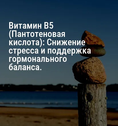 Витамин B5 (Пантотеновая кислота): Снижение стресса и поддержка гормонального баланса.