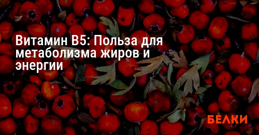 Витамин B5: Польза для метаболизма жиров и энергии