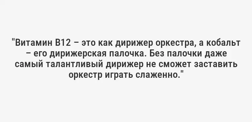 "Витамин B12 – это как дирижер оркестра, а кобальт – его дирижерская палочка. Без палочки даже самый талантливый дирижер не сможет заставить оркестр играть слаженно."