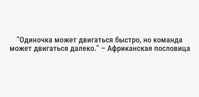 "Одиночка может двигаться быстро, но команда может двигаться далеко." – Африканская пословица