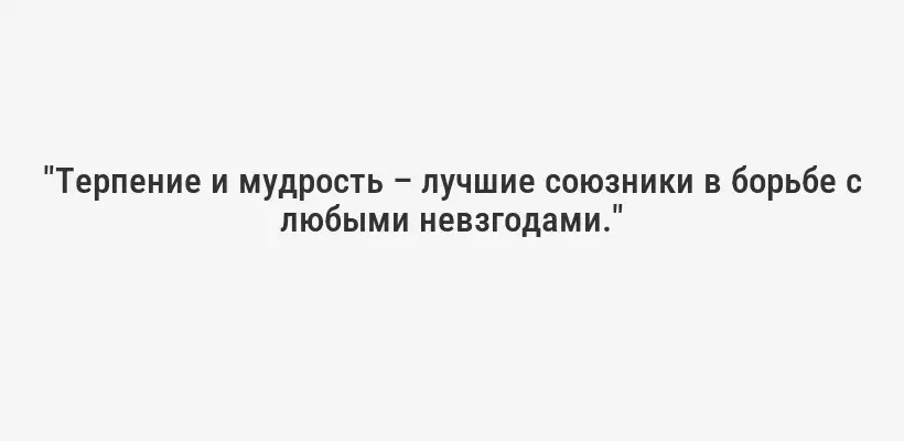 "Терпение и мудрость – лучшие союзники в борьбе с любыми невзгодами."
