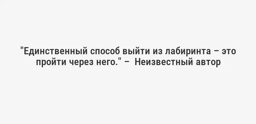 "Единственный способ выйти из лабиринта – это пройти через него." –  Неизвестный автор