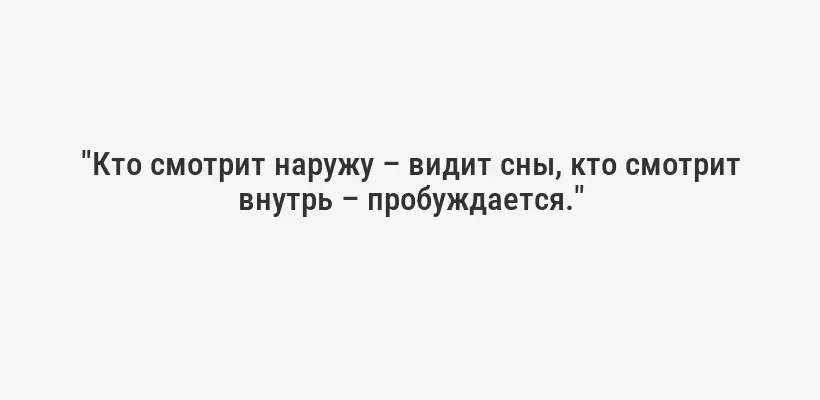 "Кто смотрит наружу – видит сны, кто смотрит внутрь – пробуждается."