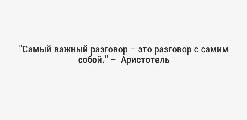 "Самый важный разговор – это разговор с самим собой." –  Аристотель
