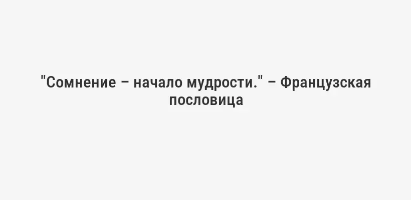 "Сомнение – начало мудрости." – Французская пословица