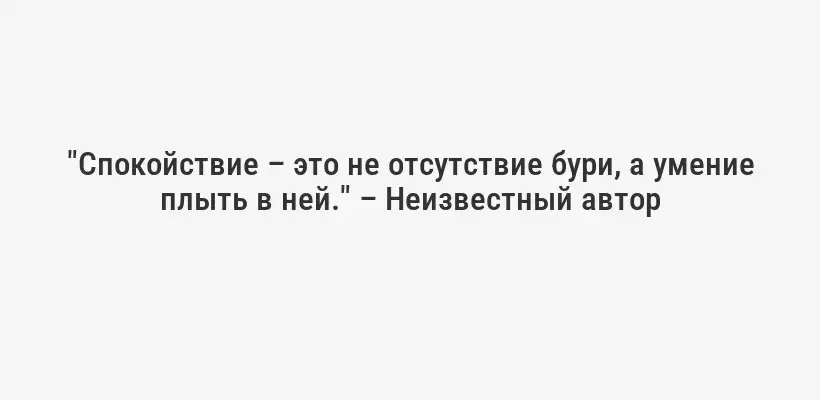 "Спокойствие – это не отсутствие бури, а умение плыть в ней." – Неизвестный автор