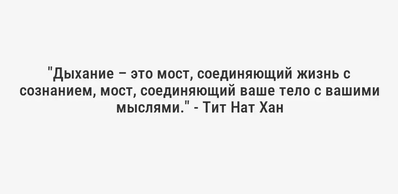 "Дыхание – это мост, соединяющий жизнь с сознанием, мост, соединяющий ваше тело с вашими мыслями." - Тит Нат Хан