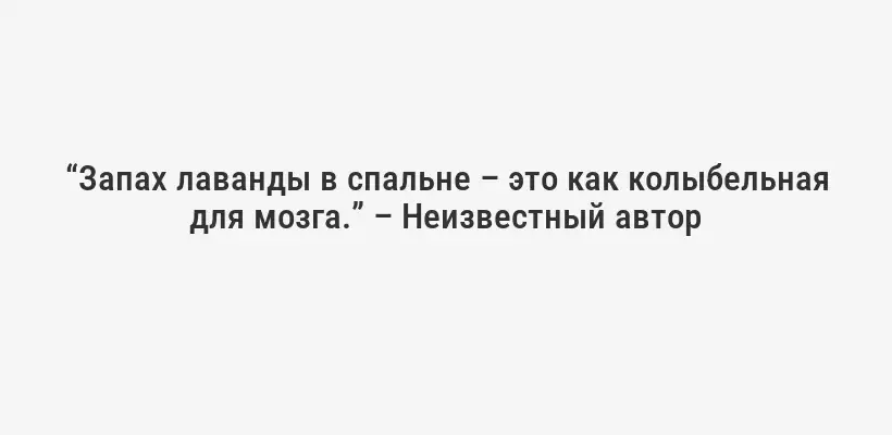 “Запах лаванды в спальне – это как колыбельная для мозга.” – Неизвестный автор